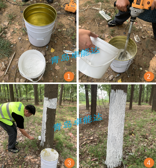 图片1.png 图片1.png